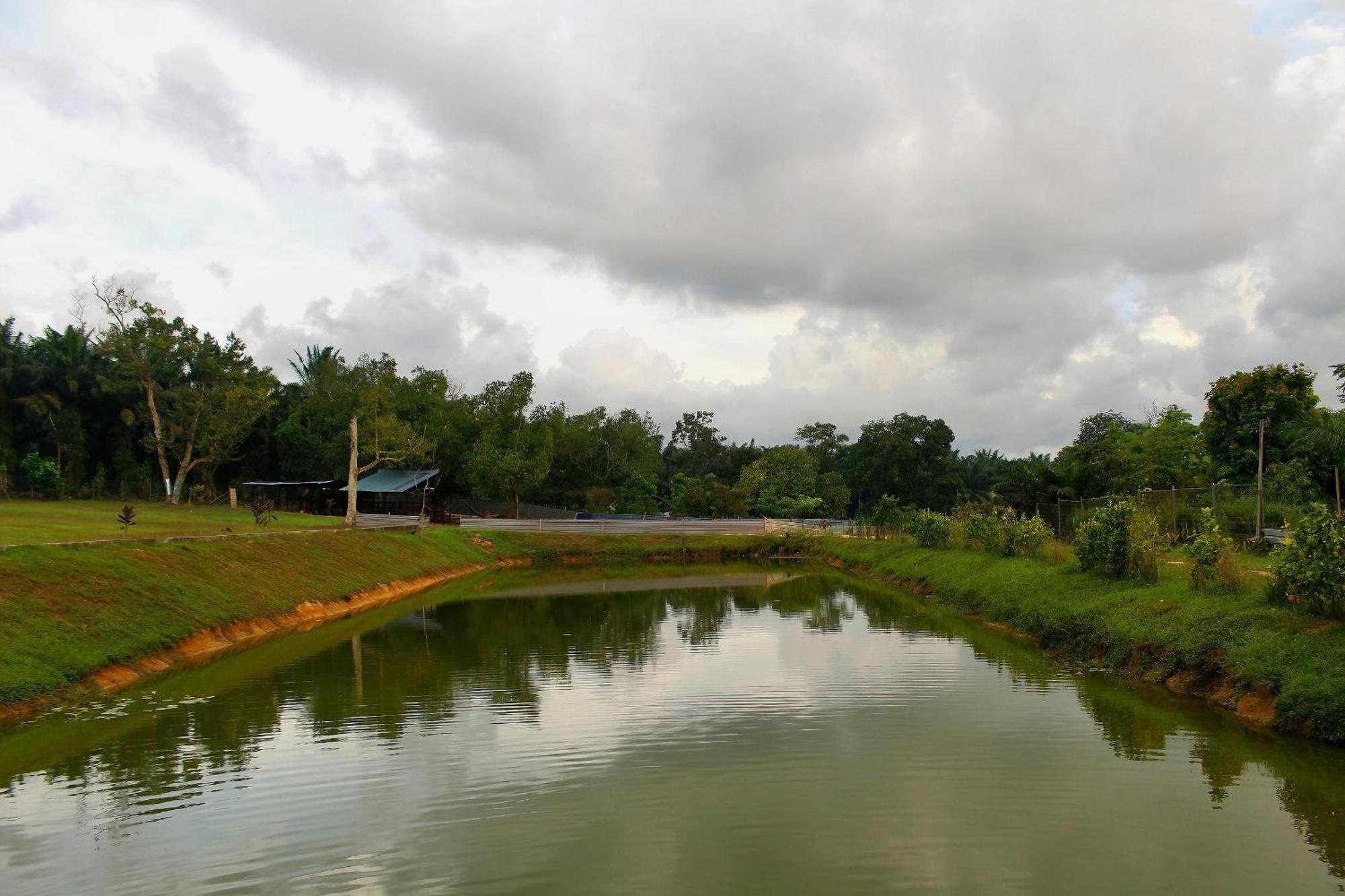 Savanna Hill Resort Ulu Tiram Exterior foto
