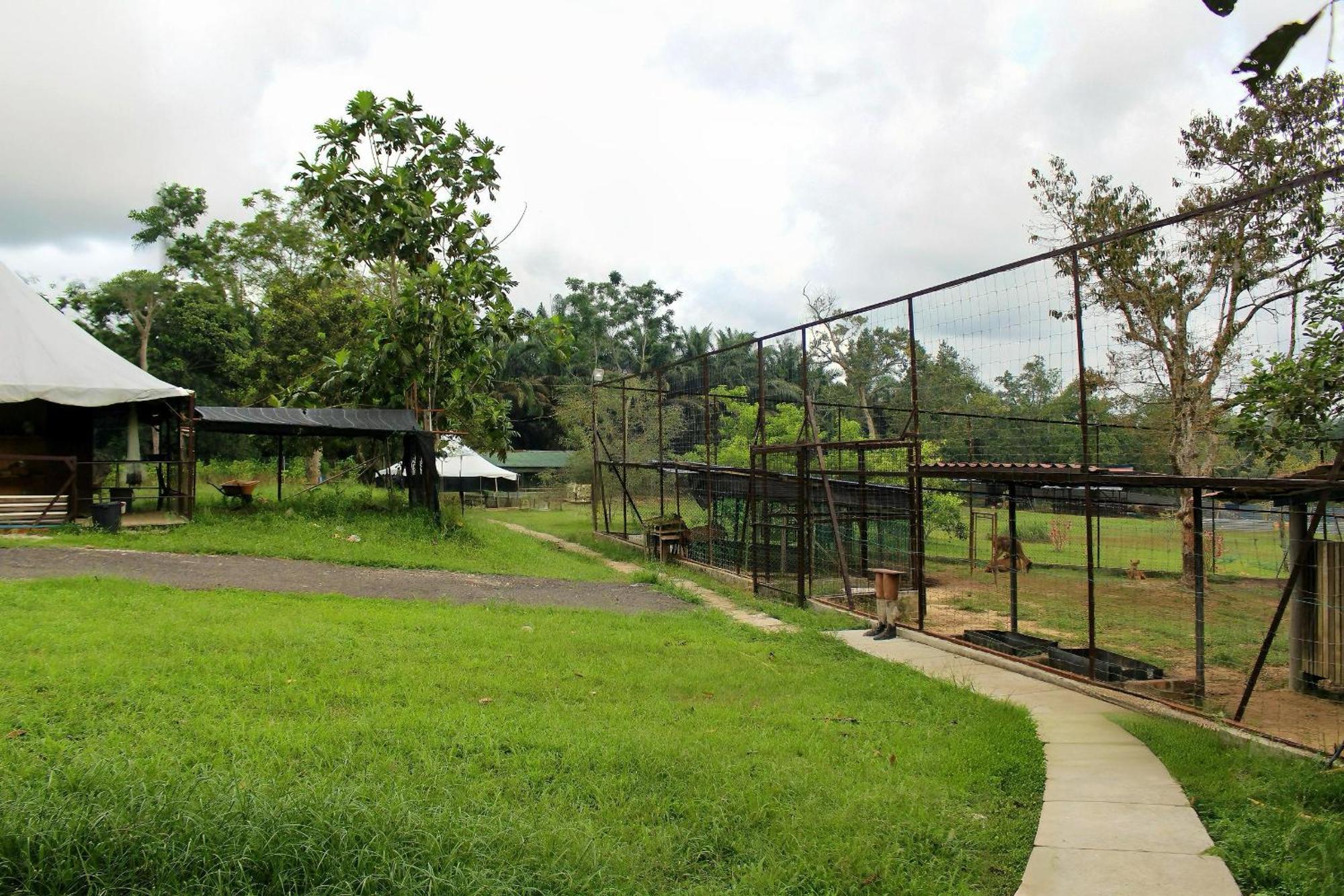 Savanna Hill Resort Ulu Tiram Exterior foto